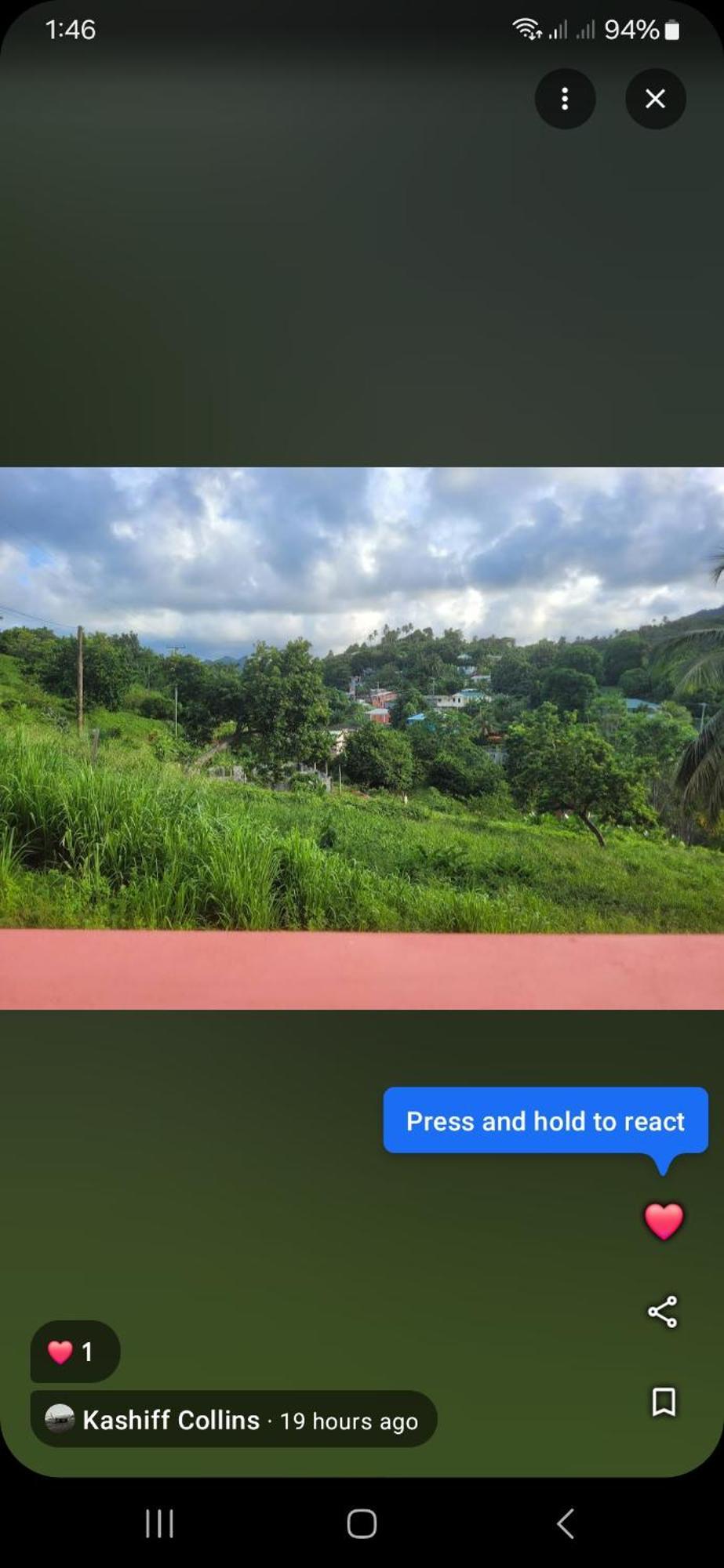 Bed and Breakfast Natrue'S Haven Marigot Exterior foto